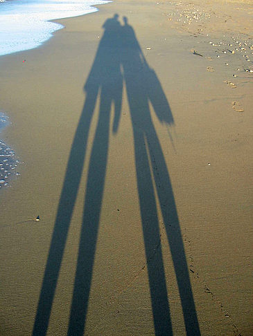 Schatten - Queensland