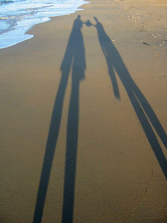 Schatten - Queensland