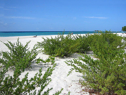 Blick auf das Meer Fotos