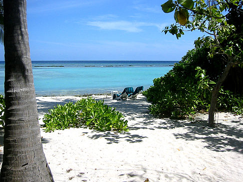 Blick auf das Meer - Malediven
