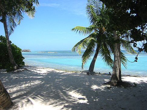 Blick auf das Meer - Malediven