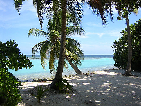 Blick auf das Meer - Malediven