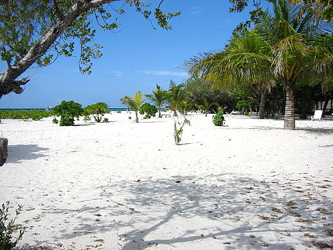 Der weiße Sandstrand - Malediven