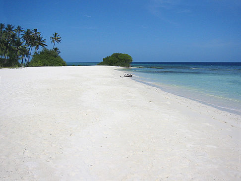 Der weiße Sandstrand - Malediven