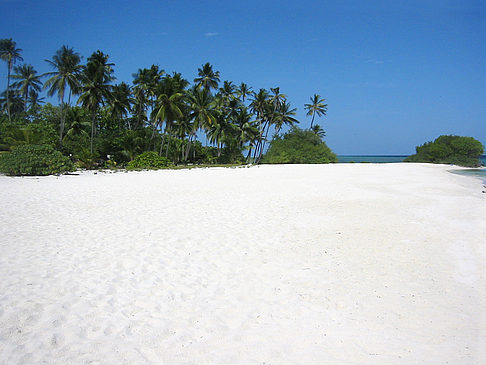 Der weiße Sandstrand - Malediven