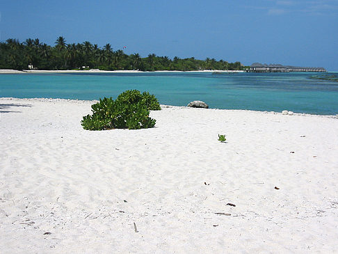 Foto Der weiße Sandstrand
