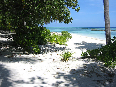 Der weiße Sandstrand - Malediven