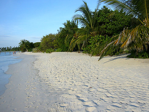 Der weiße Sandstrand - Malediven