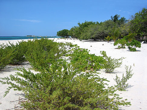 Der weiße Sandstrand - Malediven