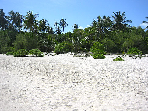 Der weiße Sandstrand - Malediven