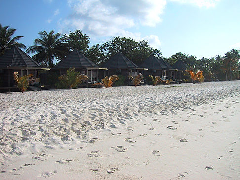 Der weiße Sandstrand der Malediven - Malediven