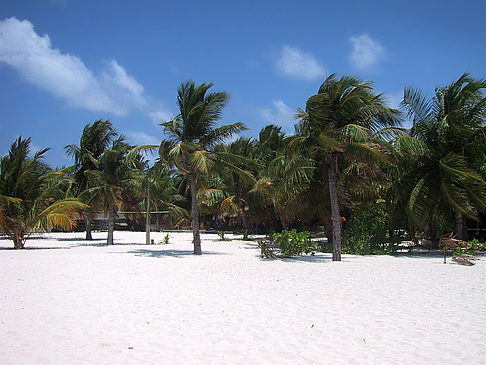 Der weiße Sandstrand der Malediven - Malediven