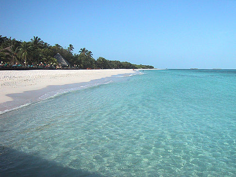 Der weiße Sandstrand der Malediven - Malediven