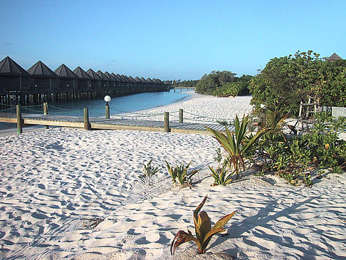 Fotos Der weiße Sandstrand der Malediven