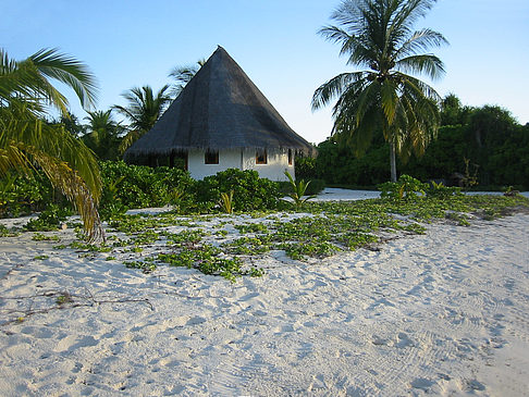 Fotos Gebäude am Strand | 