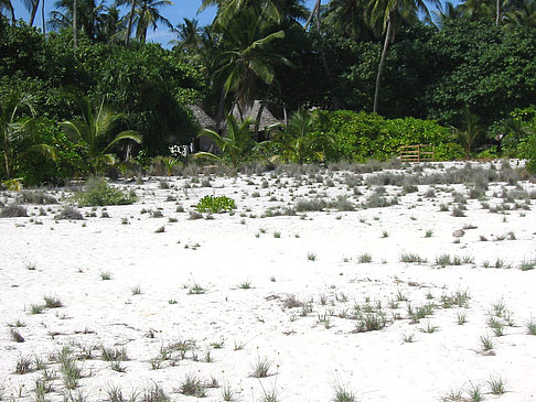 Wohnungen am Strand